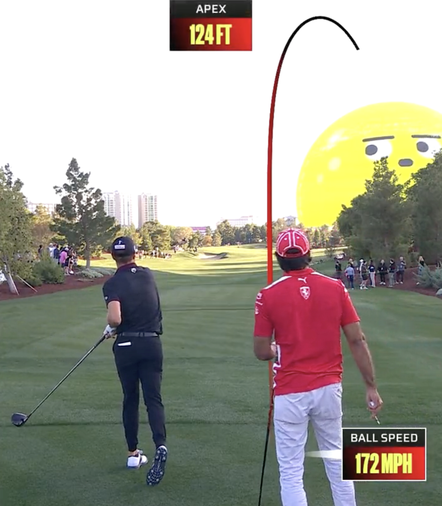 The Las Vegas Sphere